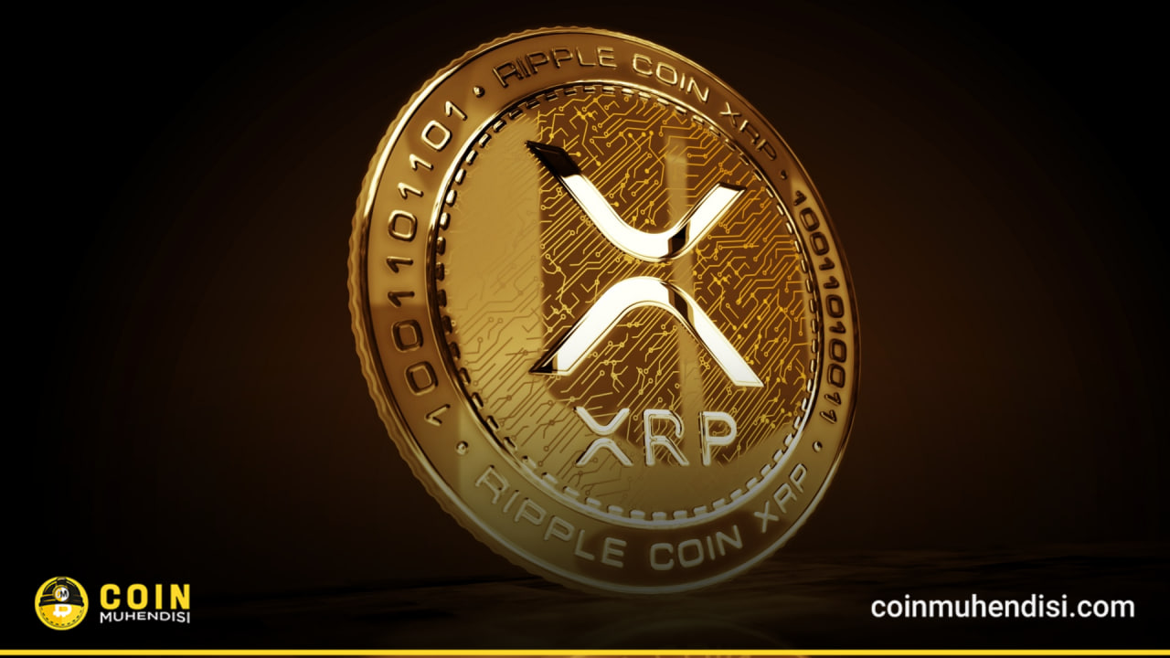 XRP 创六个月新高：价格为何瞬间上涨？