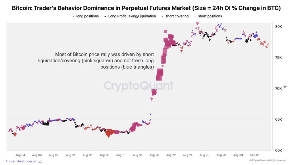 比特币交易者行为 | 来源：CryptoQuant
