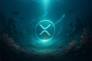 交易所可用 XRP 总量揭晓