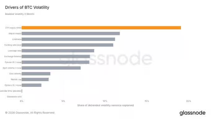 比特币 (BTC) 波动性的驱动因素 | 来源:Glassnode。