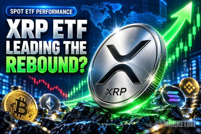 现货 XRP ETF 表现：XRP 是否引领了加密货币反弹？