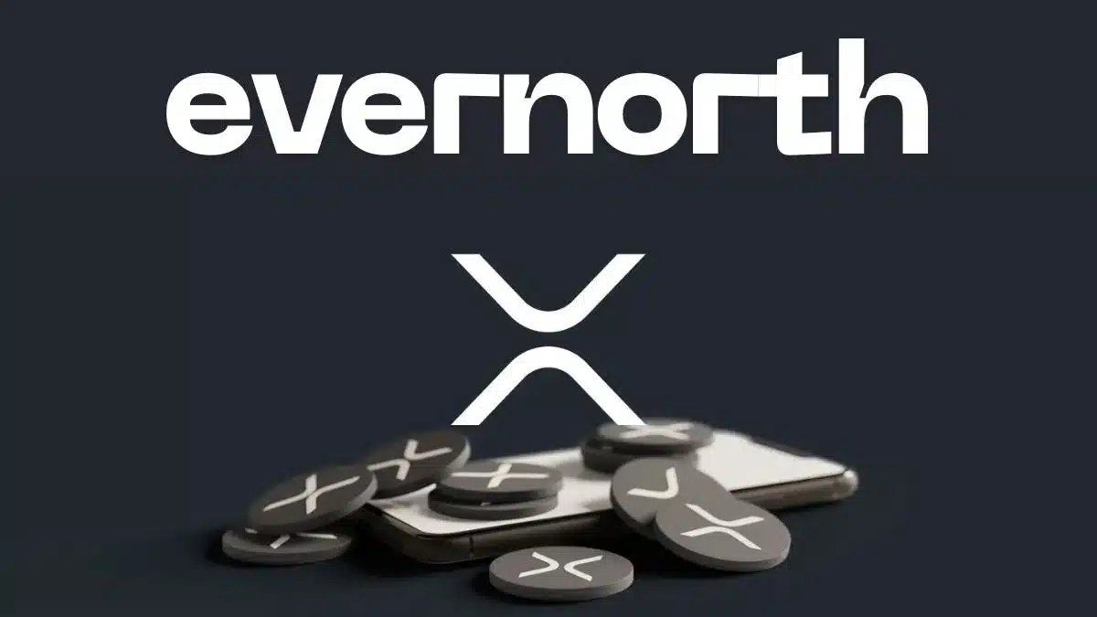 Evernorth 在计划纳斯达克上市前选择 BearChamp 进行 XRP 社区活动