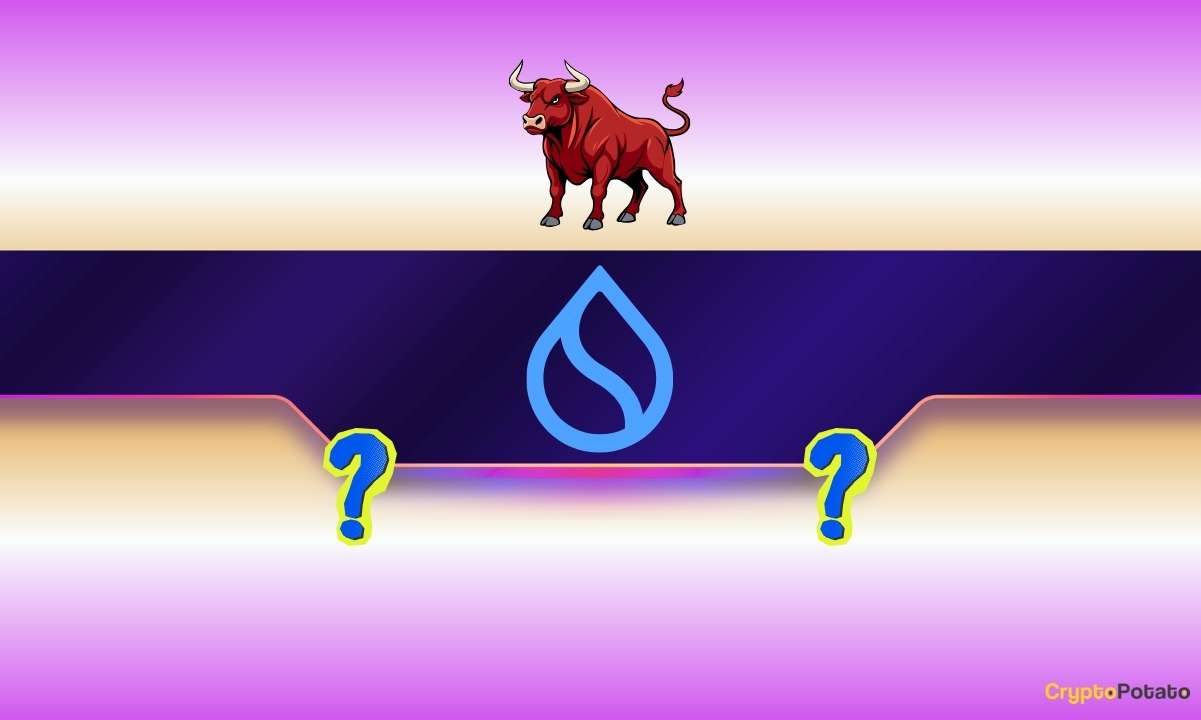 SUI 闪现关键宏观信号:牛市是否已经开启?